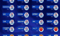 申花五连胜继续领跑积分榜，梅西主帅陷下课危机！的简单介绍